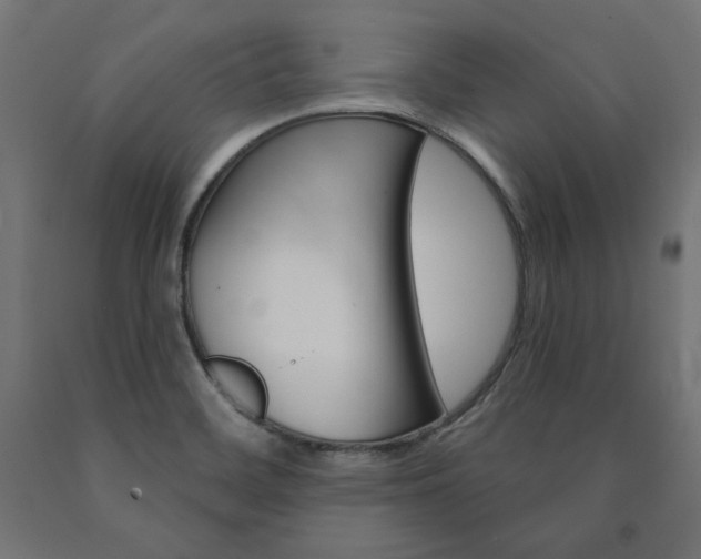X0000090981468200708021131