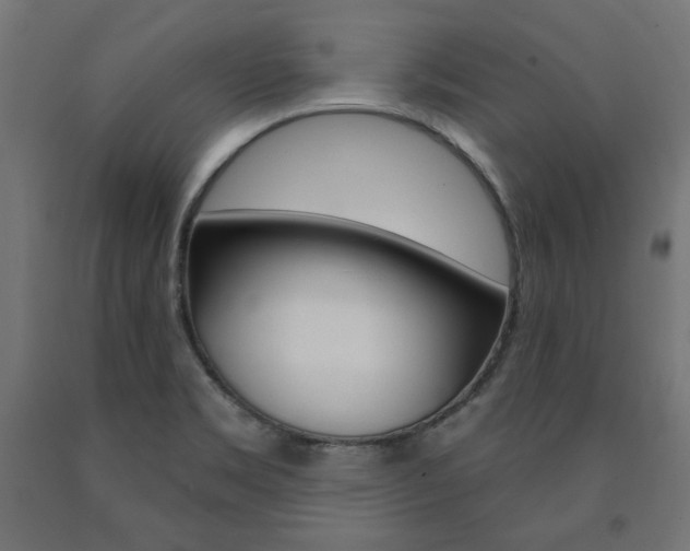 X0000090981469200708021131