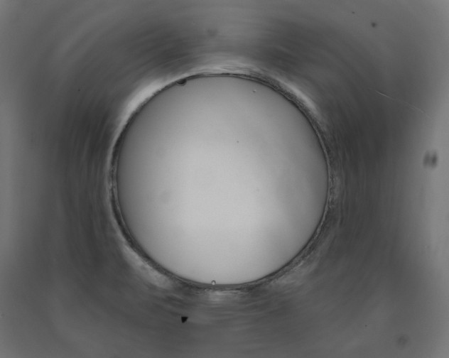 X0000090981471200708021131
