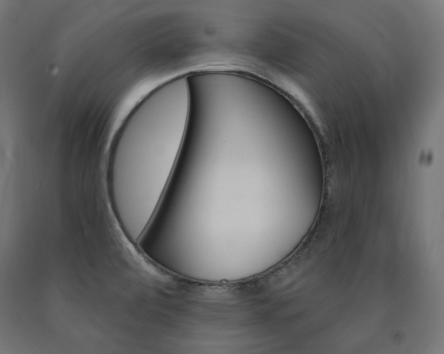 X0000090981472200708021131