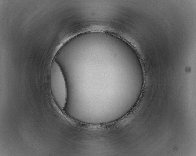 X0000090981473200708021131
