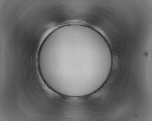 X0000090981474200708021131