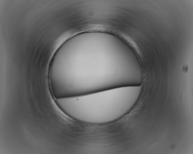 X0000090981475200708021131