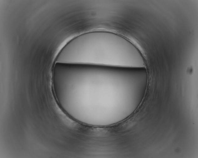 X0000090981476200708021131