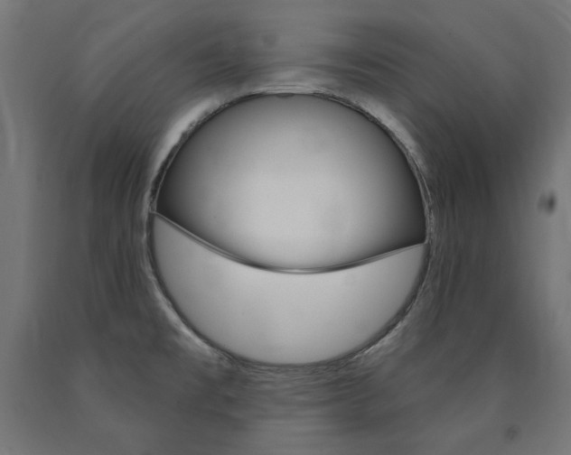 X0000090981477200708021131