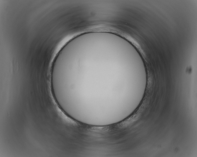 X0000090981478200708021131