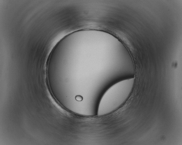 X0000090981479200708021131