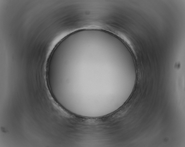 X0000090981480200708021131