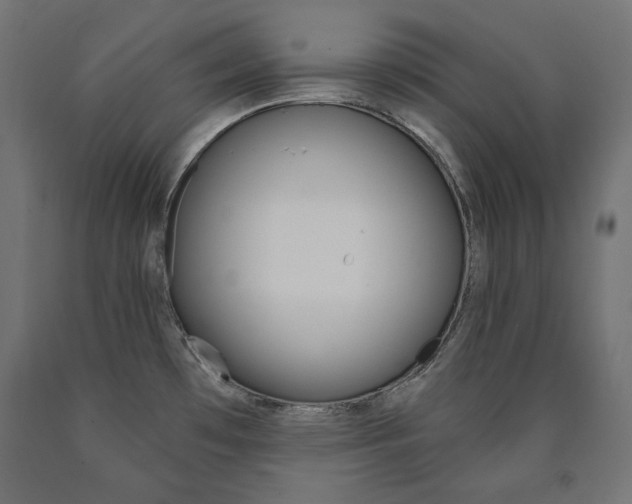 X0000090981481200708021131