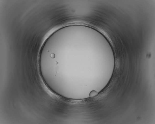 X0000090981482200708021131