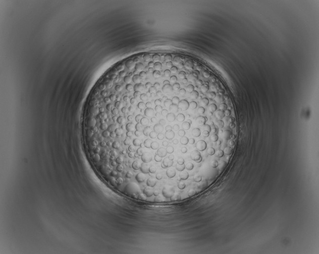 X0000090981483200708021131