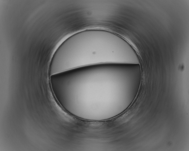 X0000090981484200708021131