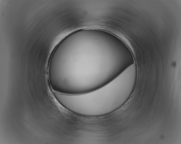 X0000090981485200708021131