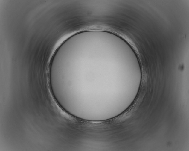 X0000090981486200708021131