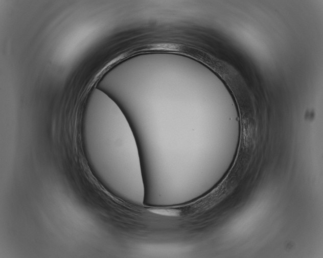 X0000090981487200708021131