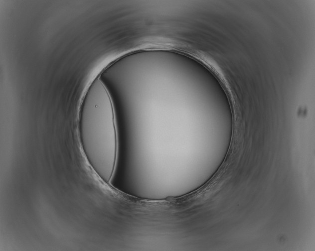 X0000090981488200708021131