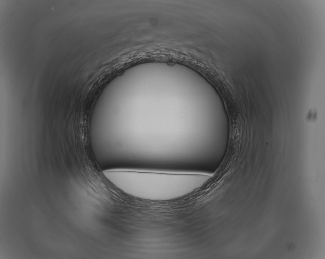 X0000090981490200708021130