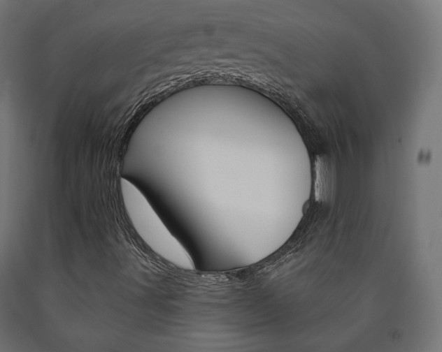 X0000090981491200708021130