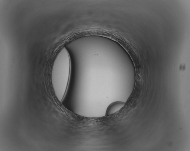X0000090981493200708021130