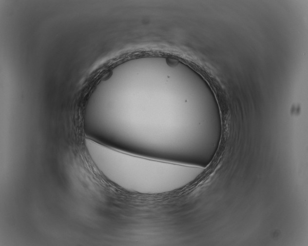 X0000090981494200708021130