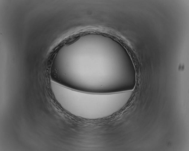 X0000090981496200708021130