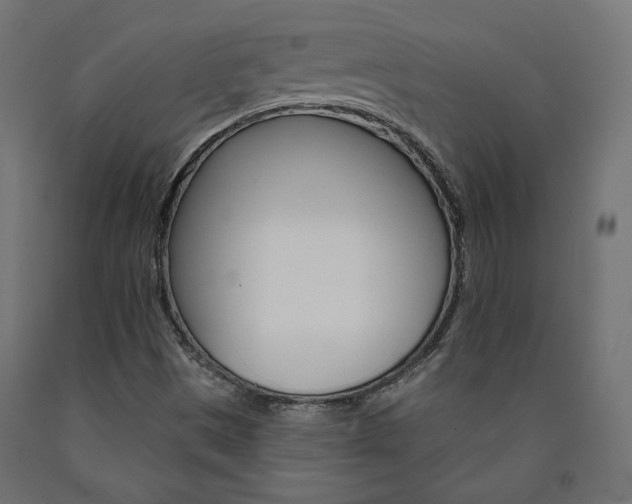 X0000090981497200708021130