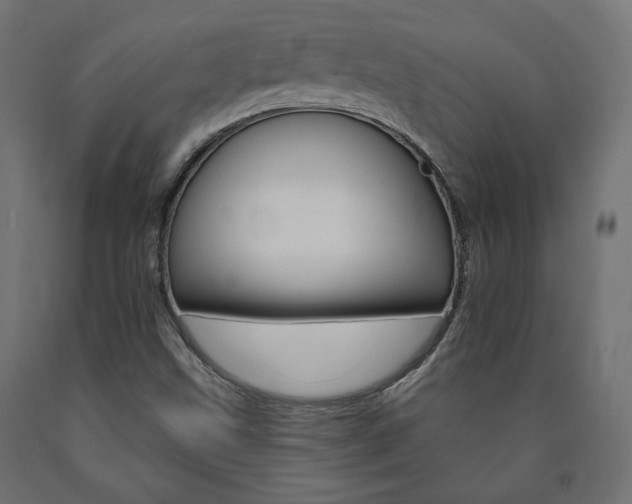 X0000090981499200708021130