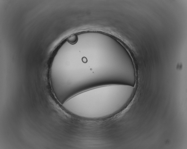 X0000090981502200708021130