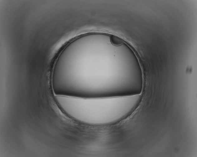 X0000090981503200708021130