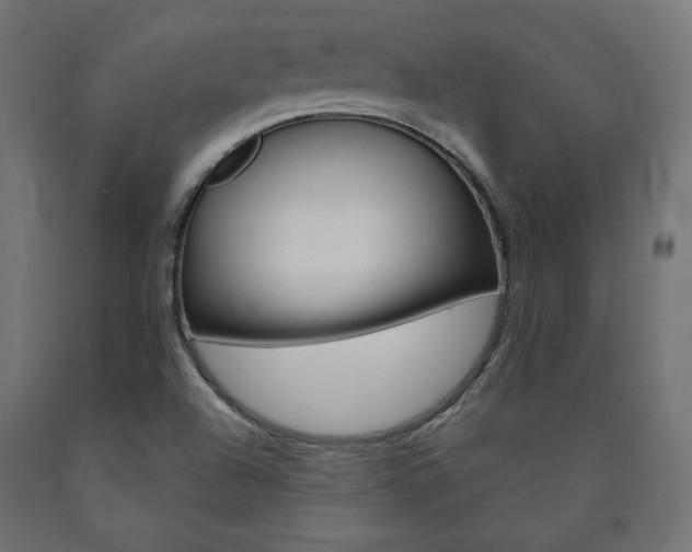 X0000090981504200708021130