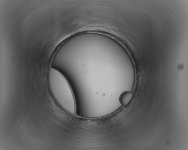 X0000090981505200708021130
