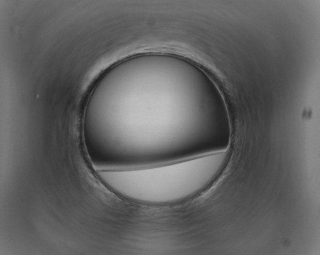 X0000090981506200708021130