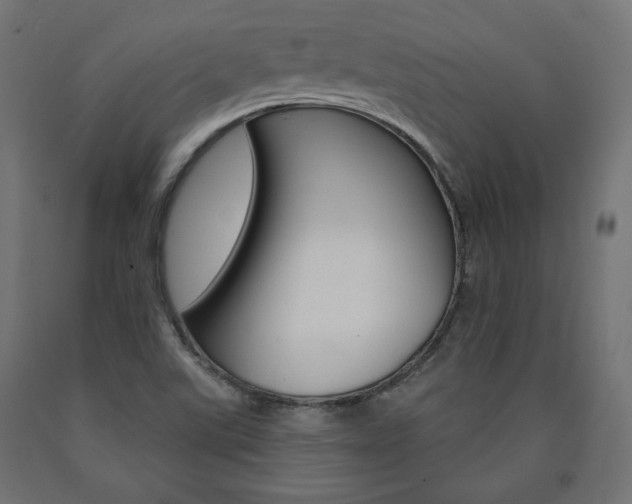 X0000090981507200708021130
