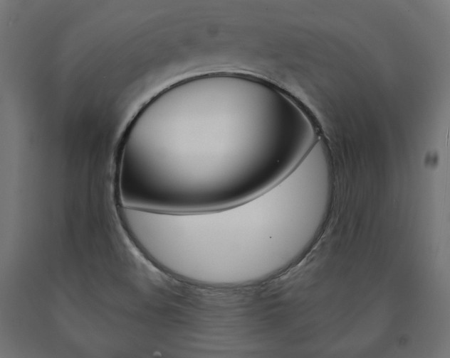 X0000090981508200708021130