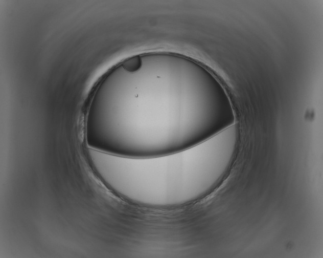 X0000090981510200708021130