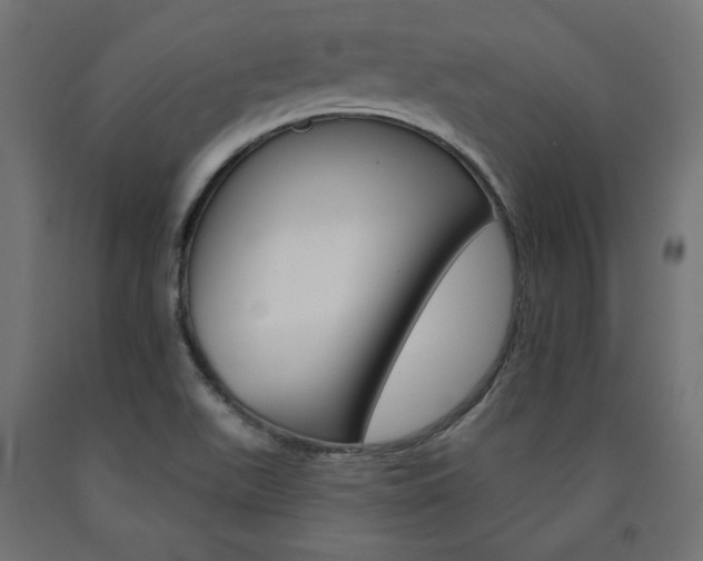 X0000090981511200708021130