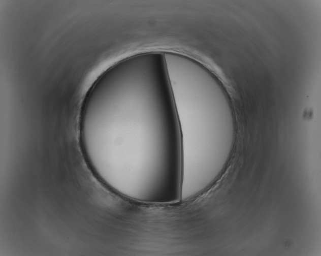 X0000090981512200708021130