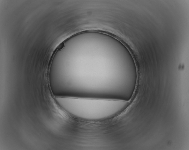 X0000090981513200708021130