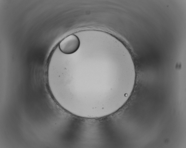 X0000090981514200708021130