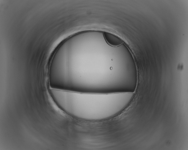 X0000090981515200708021130