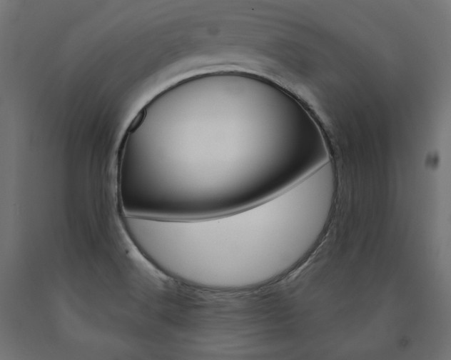 X0000090981516200708021130