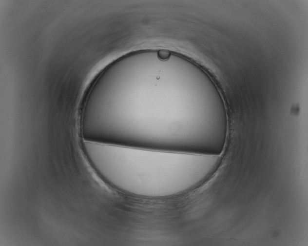 X0000090981517200708021130