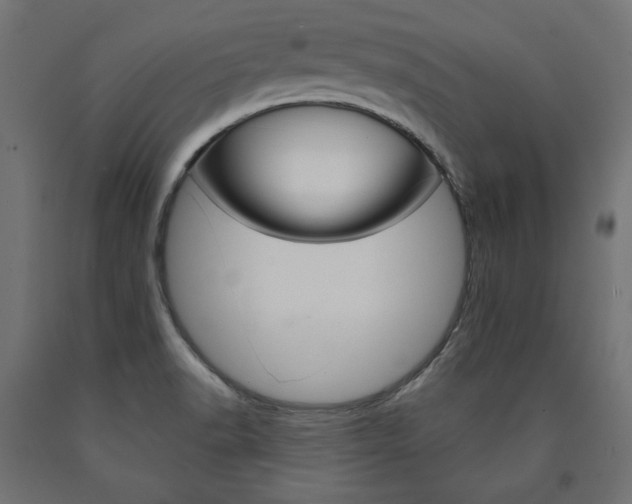 X0000090981518200708021130