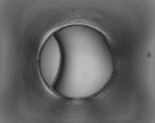 X0000090981519200708021130