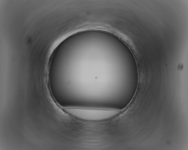 X0000090981520200708021131