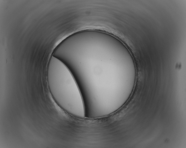 X0000090981521200708021131