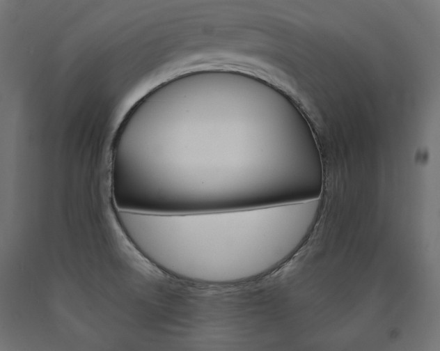X0000090981522200708021131