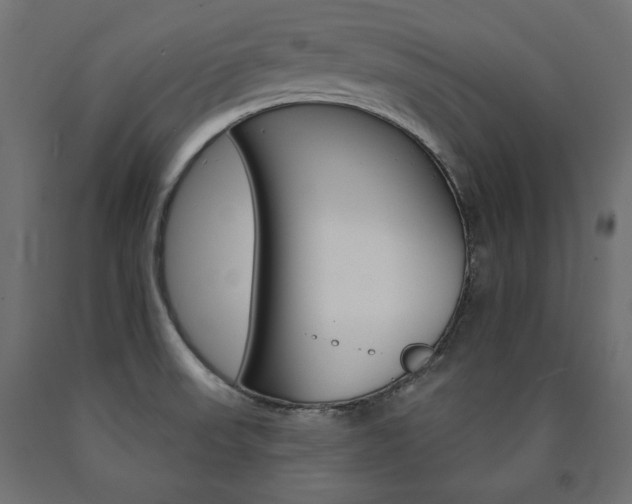 X0000090981523200708021131