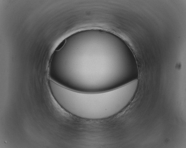 X0000090981524200708021131