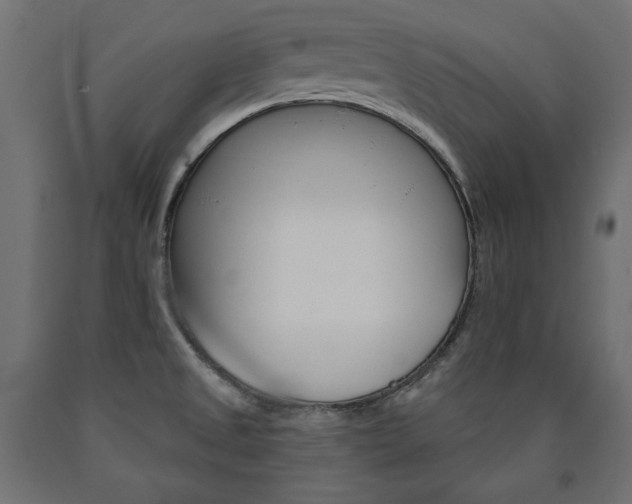 X0000090981525200708021131